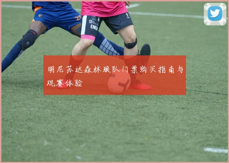 明尼苏达森林狼队门票购买指南与观赛体验